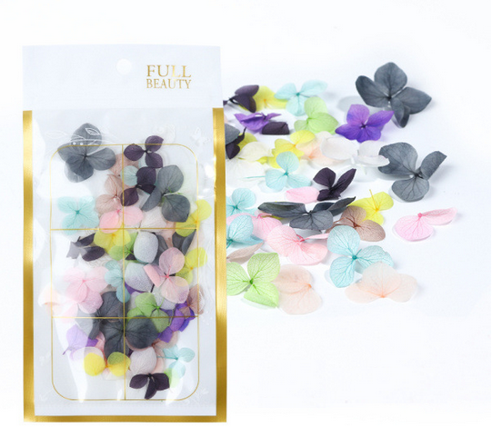 Blütenblätter | Getrocknete Blumen | Deko-Blättchen für Nägel & Make-up | Großes Set