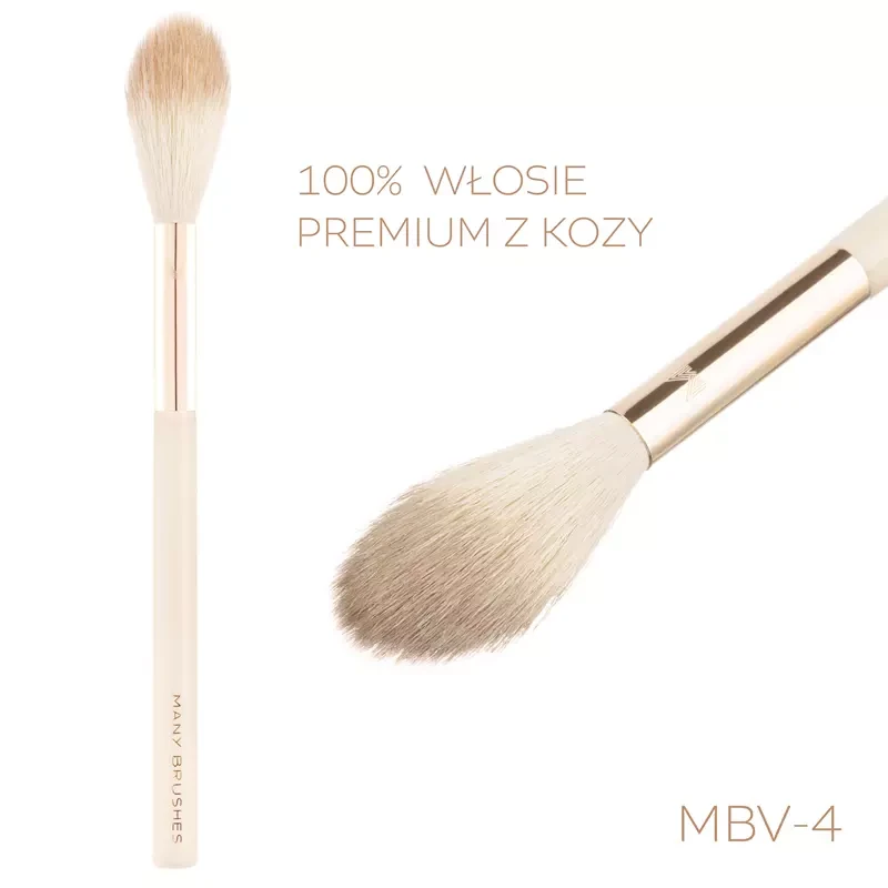 mbv-4.webp
