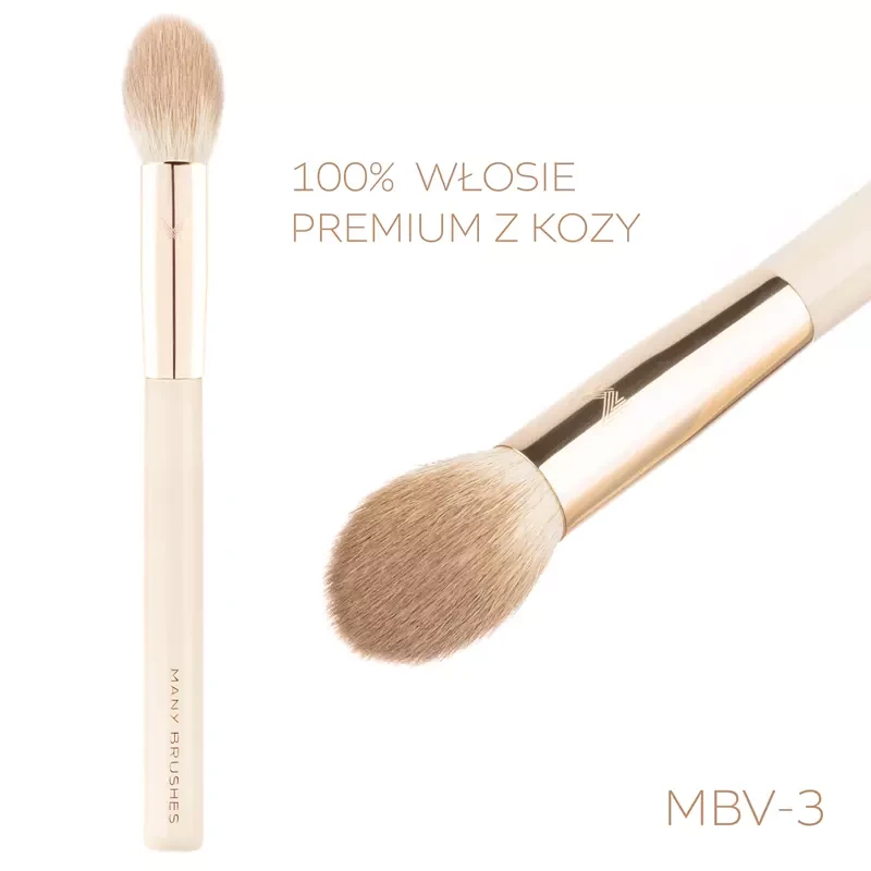 mbv-3.webp
