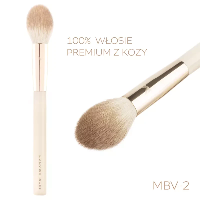 mbv-2.webp